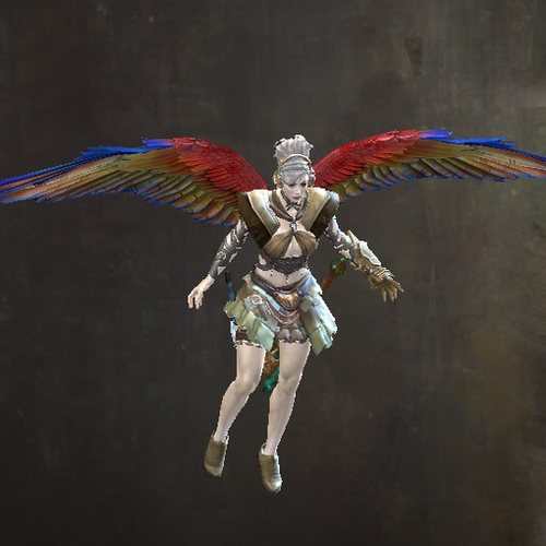 激战2金刚鹦鹉滑翔翼组合商城道具黑狮宝石含wegame