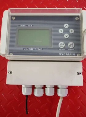 请询价-SYCAMIN P53 pH/ORP/TEMP仪，型号P