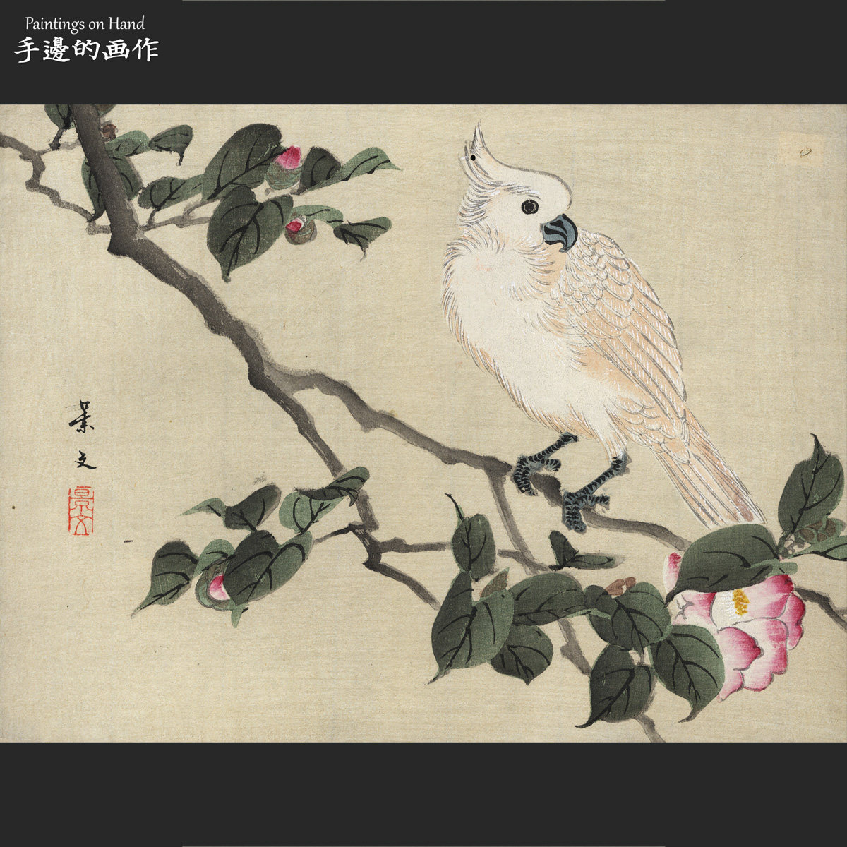 日本古董原版浮世绘木刻版画收藏品艺术/松村景文/花鸟绘/鹦鹉 椿