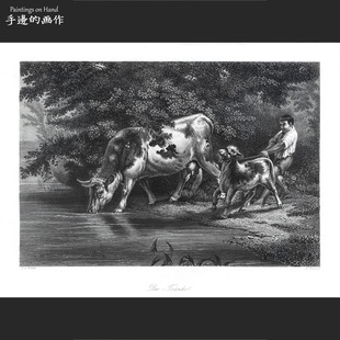 德国1860年代古董雕刻凹版钢版画/PAYNE'S UNIVERSUM/饮水的牛
