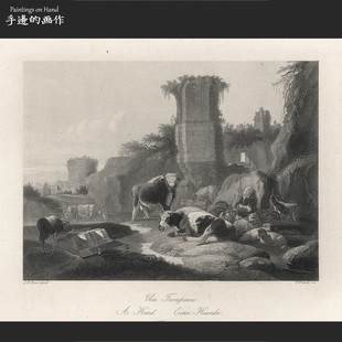 德国1860年代古董雕刻凹版钢版画/PAYNE'S UNIVERSUM/牧群 牛和羊