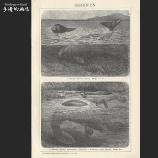 德国1894年古董原版木刻版画艺术装饰复古线条画/布鲁克豪斯/儒艮