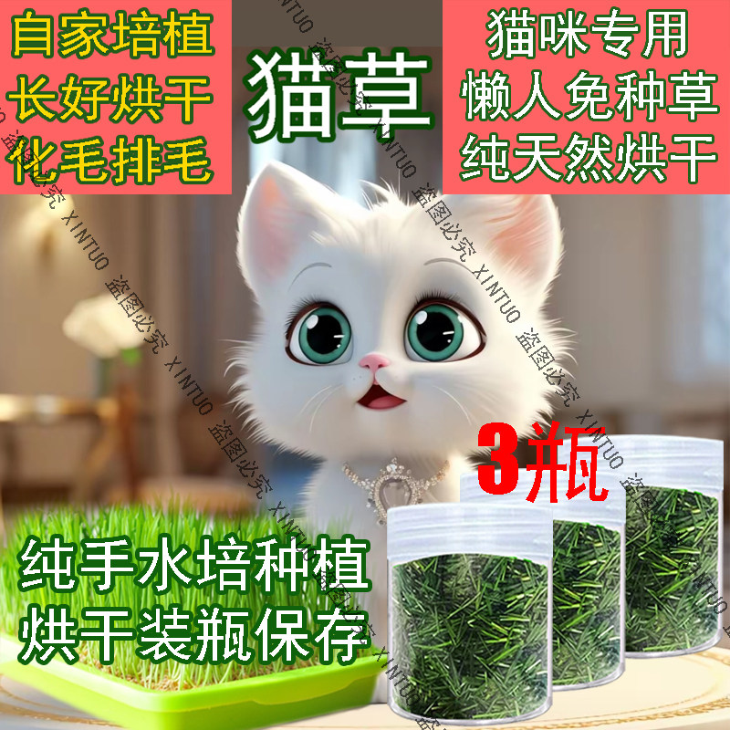 猫草烘干已长好狗食用草犬用新鲜成品猫草盆栽即食薄荷猫咪可食用