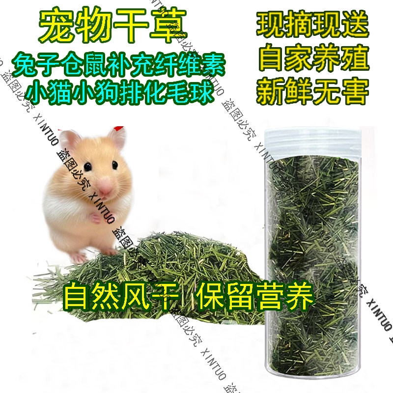 新鲜风干仓鼠零食豚鼠磨牙营养宠物草龙猫清肠胃荷兰猪猫草兔草