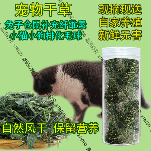 天然风干猫草猫咪零食化毛球小猫草清肠胃兔兔干草豚鼠龙猫荷兰猪