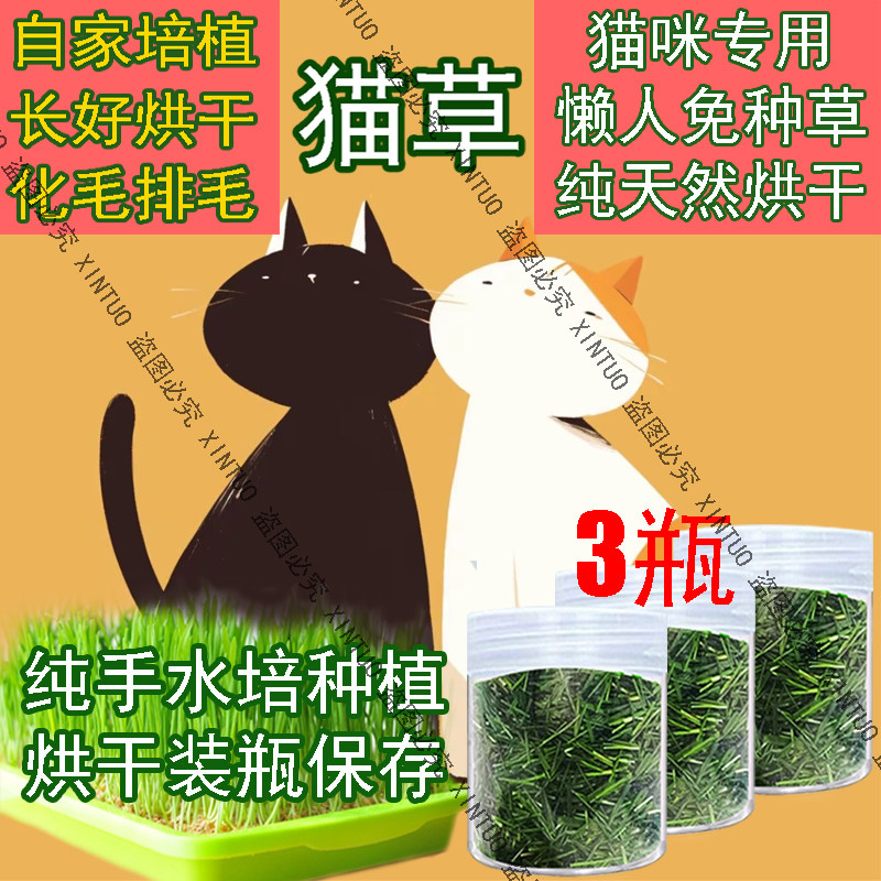 猫草已长好烘干自种已种盆栽薄荷即食小麦种植新鲜零食猫咪猫草
