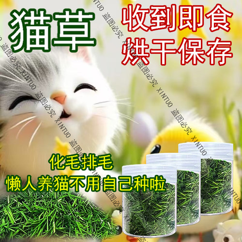 XINTUO烘干保存猫咪猫草新鲜已长好自种化毛球猫咪营养即食宠物草