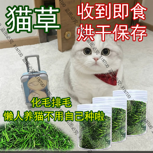 XINTUO网红猫草烘干猫咪专用排毛化毛即食成品清口气助消化猫草干