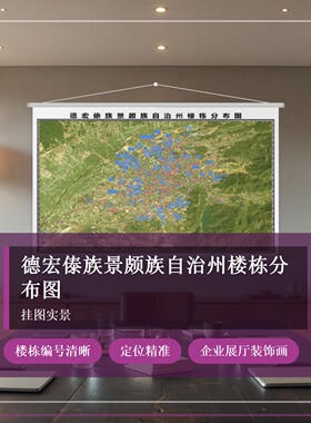 德宏傣族景颇族自治州楼栋分布图 现代简约装饰画 办公室挂画