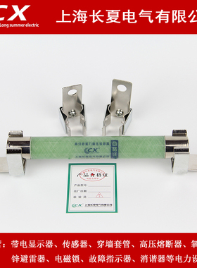 高压熔断器电压互感器XRNP1-10/12KV/0.5A  1A带夹子