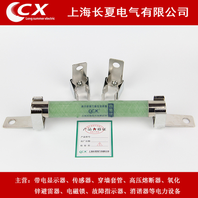 xrnp1-10带夹子高压熔断器