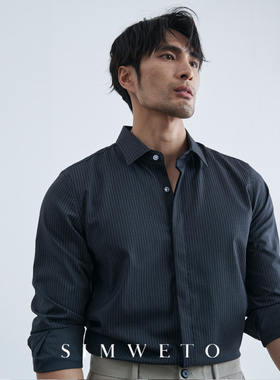 秋季商务绅士 优雅气质高级感细条纹衬衫男士免烫灰色衬衣暗门襟