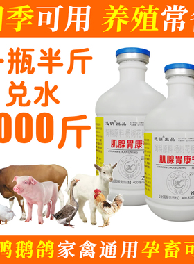 禽用腺肌胃康宁鸡鸭鹅鸽子鹌鹑腺胃素兽用家禽正品禽鸡腺胃不适