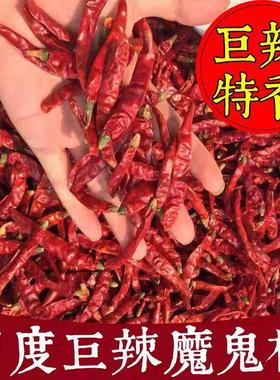 正宗印度魔鬼椒辣椒王超辣巨辣干辣椒特辣红辣椒干货变态辣椒包邮