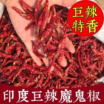 正宗印度魔鬼椒辣椒王超辣巨辣干辣椒特辣红辣椒干货变态辣椒包邮