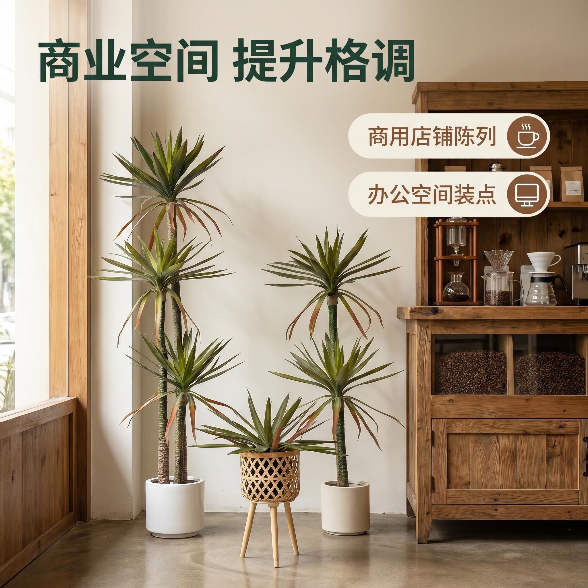 狸花仿真绿植荷兰铁盆栽凤尾丝兰树北欧摆件造景装饰剑麻龙舌兰