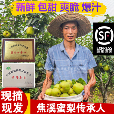 【老潘梨园】正宗常州焦溪蜜梨翠冠梨82梨青皮梨现摘特产水果新鲜