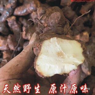 热销鲜云南红土茯苓250克新鲜白肉土茯苓汤料食新店冲量真货好