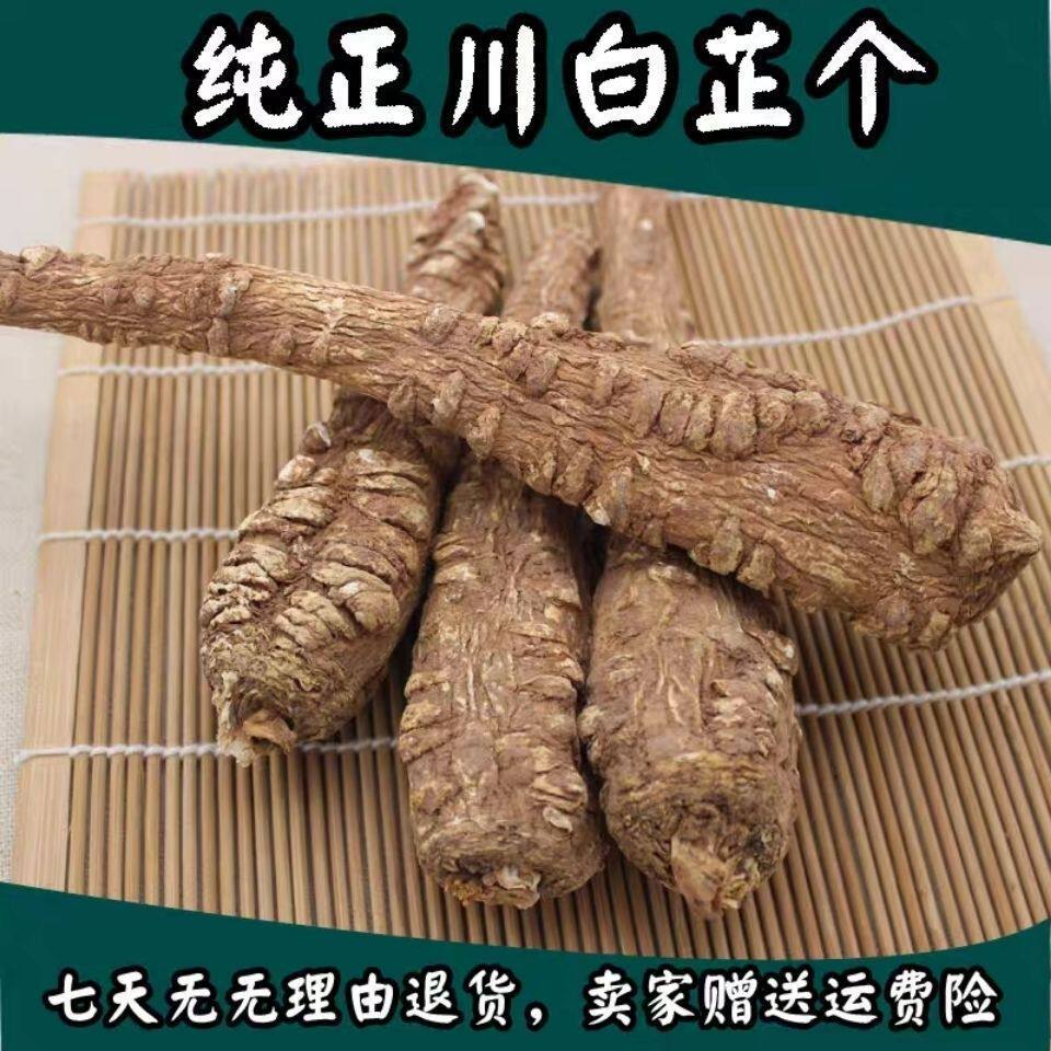 热销四川白芷个根四川整根大白止条粉纸棒香料调料安徽祁卤料卤水