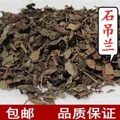 材石吊兰 黑乌骨 石豇豆 石泽兰 岩石茶 岩泽兰真货