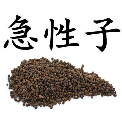 材 急性子 白凤仙 灯盏花 凤仙花子 染指甲花子真货