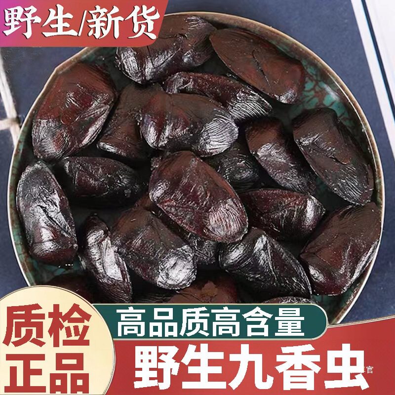 热销云南九香虫500g打屁虫屁巴虫臭壳子虫九真货好货真货好货 - 实物图