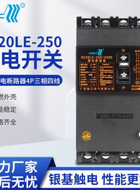 广东珠江电气正珠DZ20LE银点漏电断路器4P三相四线250/400/630A