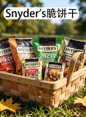 美国进口SNYDER‘S施耐德多种口味脆饼干休闲食品酥性零食面包干