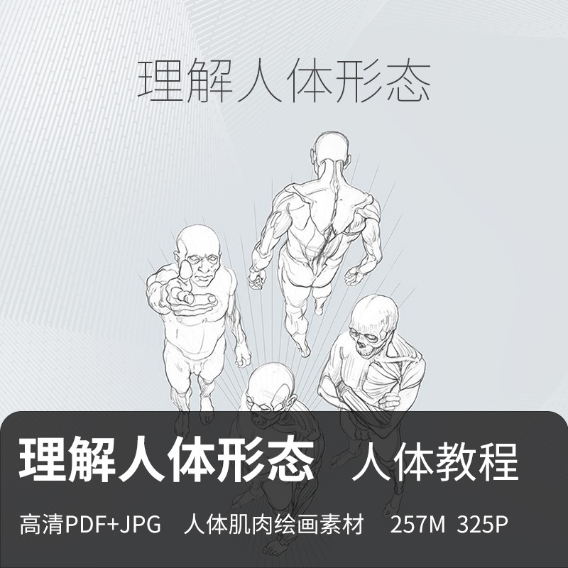 理解人体形态美术素描速写绘画CG肌肉骨骼解剖高清PDF+JPG素材-封面