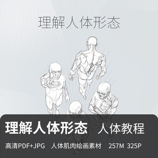 理解人体形态 JPG素材 高清PDF 美术素描速写绘画CG肌肉骨骼解剖
