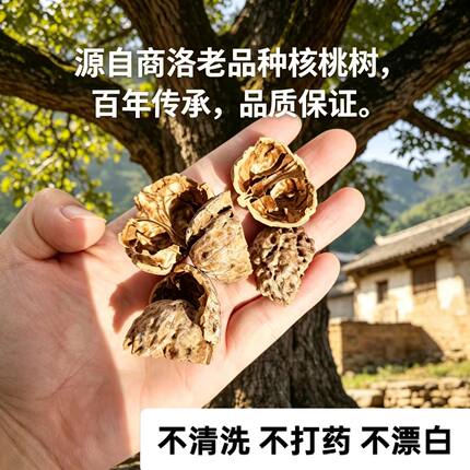 陕西商洛野生核桃壳秦岭核桃皮煮鸡蛋不漂白无硫熏天然中药材厚壳