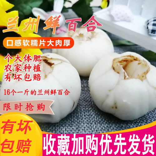 甘肃甜百合农家特产新鲜无添加纯食用鲜百合 500g克包邮