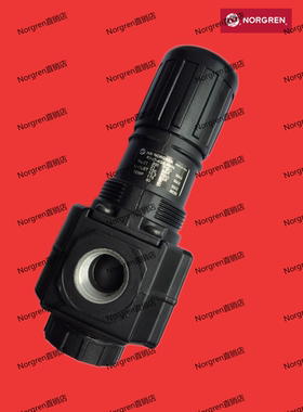 R74G-3GK-RFN 3AK 3BK RFG Excelon调压阀 NorgrenR74G系列减压阀