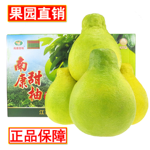 正宗南康甜柚斋婆柚18斤纯甜无酸江西赣南特产赣州沙甜柚子沙田柚