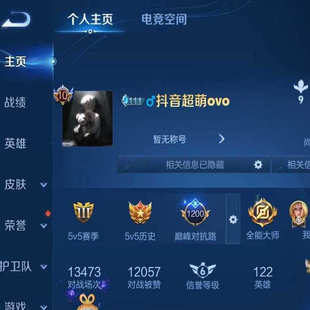 王者荣耀号租V10 482皮v10皮肤共享4月正式服历史2.2w战力花木兰