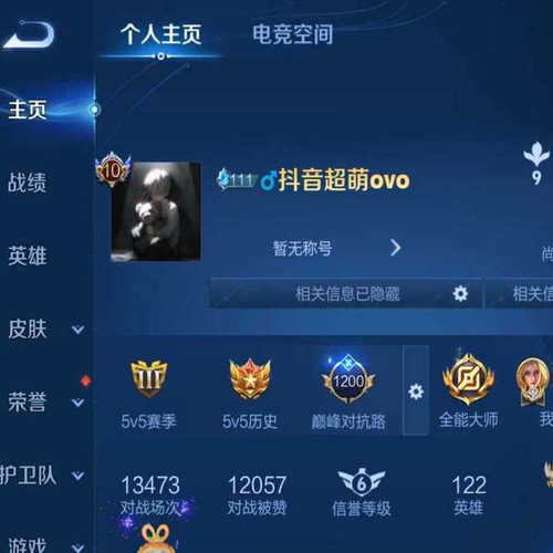王者荣耀号租V10 482皮v10皮肤共享4月正式服历史2.2w战力花木兰
