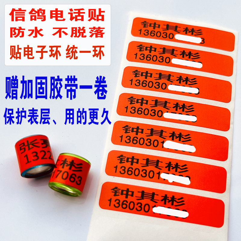 赛鸽脚环电话贴纸 防水足环贴纸 电子环信鸽比赛名次贴 电话贴条