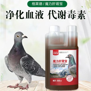 格莱德 魔力肝肾宝