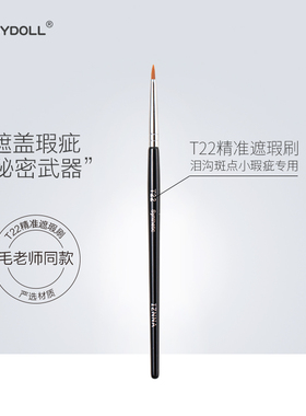 毛老师同款定制t22尖头遮瑕刷