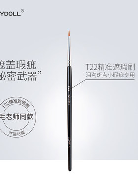 毛老师同款定制t22尖头遮瑕刷