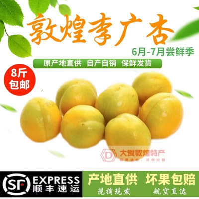 Dunhuang Specialty Fresh Li Guang Abricot 8 Jin, наполненный нашим собственным садом, сезонные фрукты выбираются и выпущены.