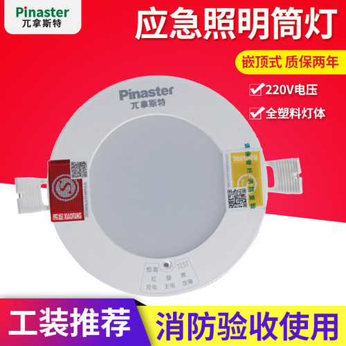 一体化消防应急筒灯π拿斯特