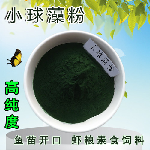 天然小球藻粉水产养殖净化水质产卵存活率鱼虾蟹养殖鱼食开口饲料