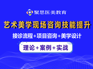 实战 项目咨询设计 接诊流程 案例 艺术美学现场咨询技能提升理论