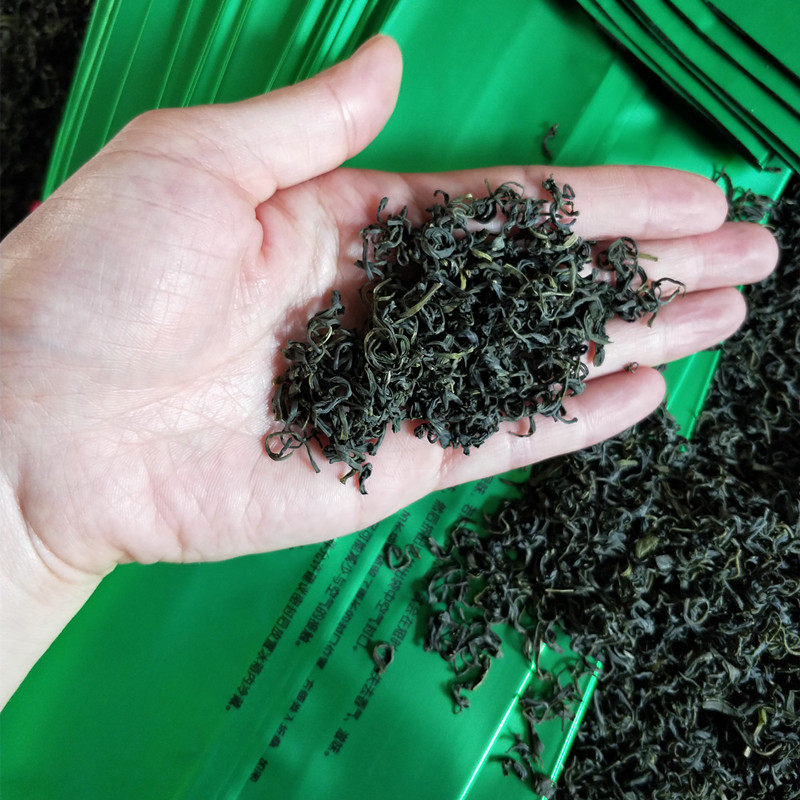 2026新茶日照充足丽水野生高特色产区绿茶