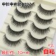 自然中密中长款 10mm一条式 007多层假睫毛仿真生活妆可选自粘