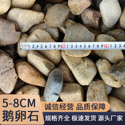 鹅卵石批发变压器用5-8厘米鱼池铺底水处理石头园林铺地景观石子