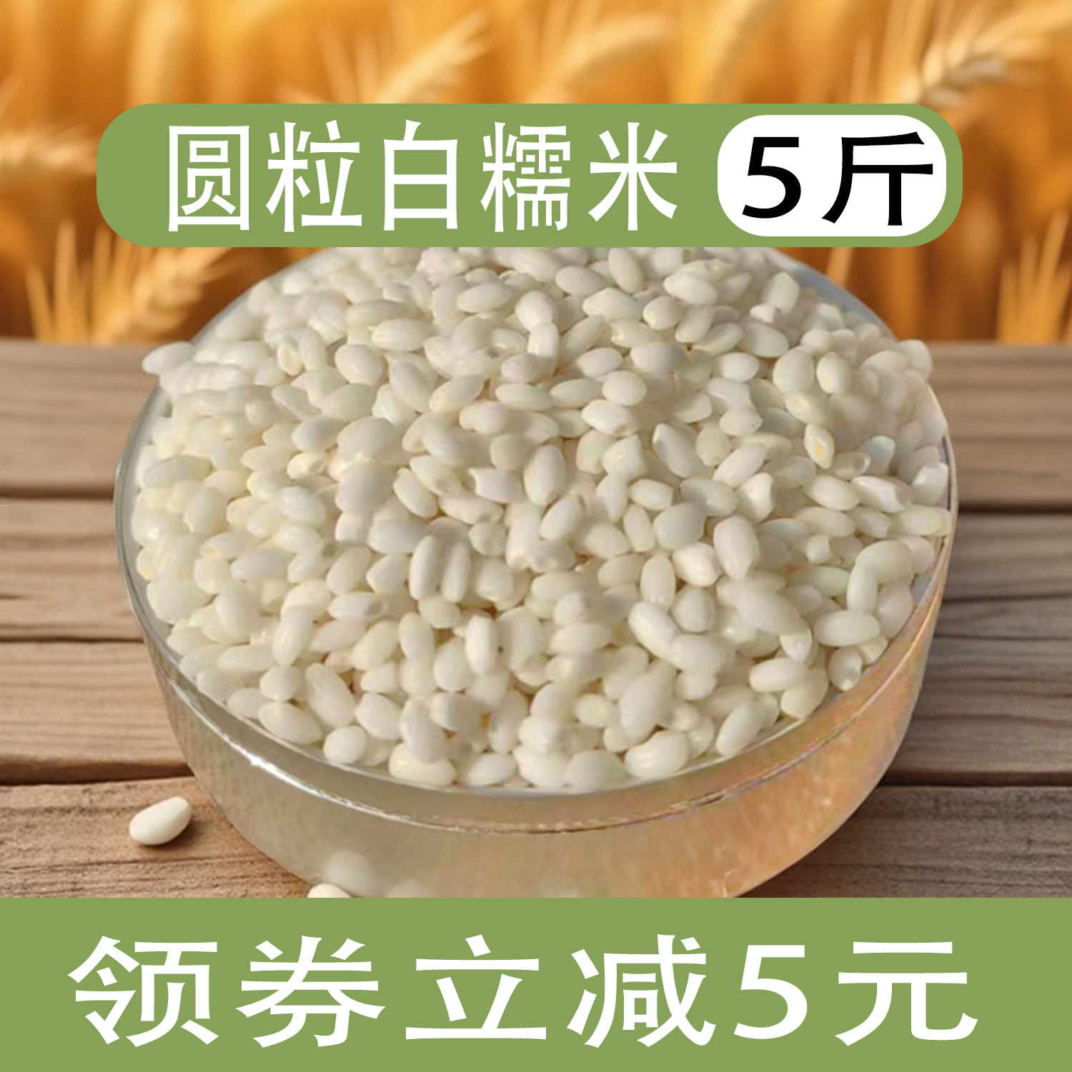 正宗东北农家圆粒白糯米新米商用5斤江米包粽子煮粥五谷杂粮粗粮
