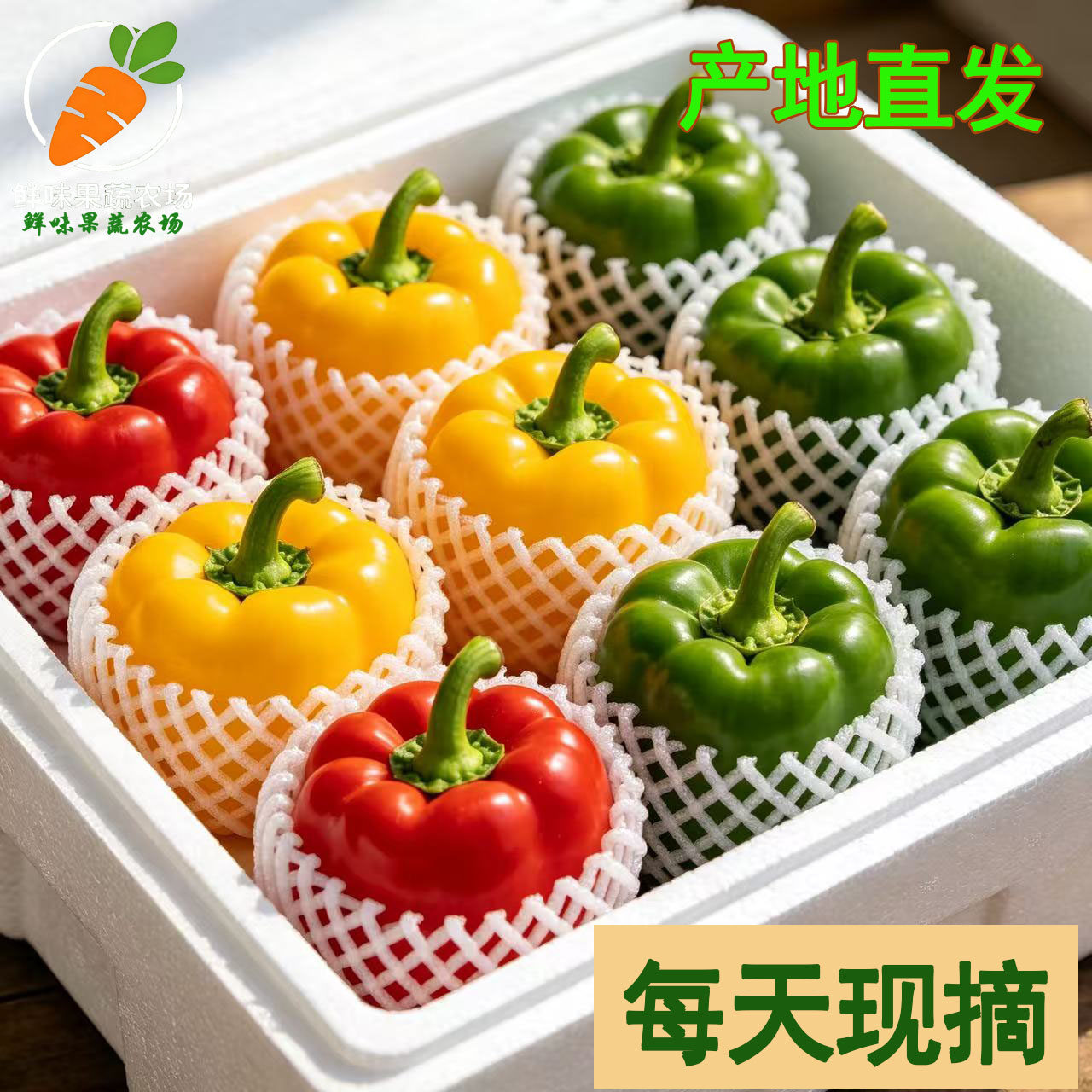 山东寿光五彩水果彩椒 每天现摘红色黄色混装 灯笼椒 产地直发5斤