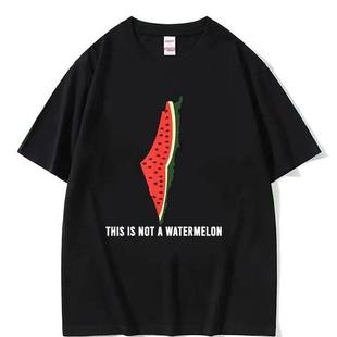 Funny This Is Not A Watermelon这不是一个西瓜创意短袖T恤男女